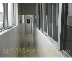 辣椒加工廠