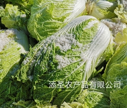 精選原料