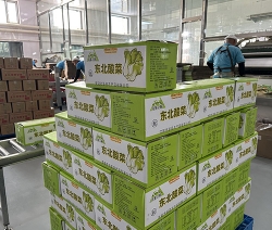 酸菜廠區