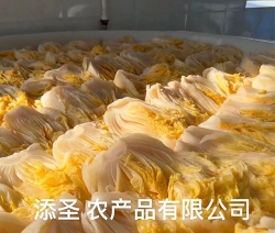 酸菜廠區