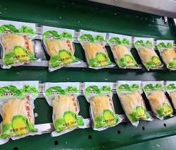 酸菜廠區