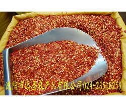 子彈頭
